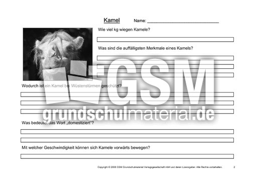 Kamel-Fragen-2.pdf